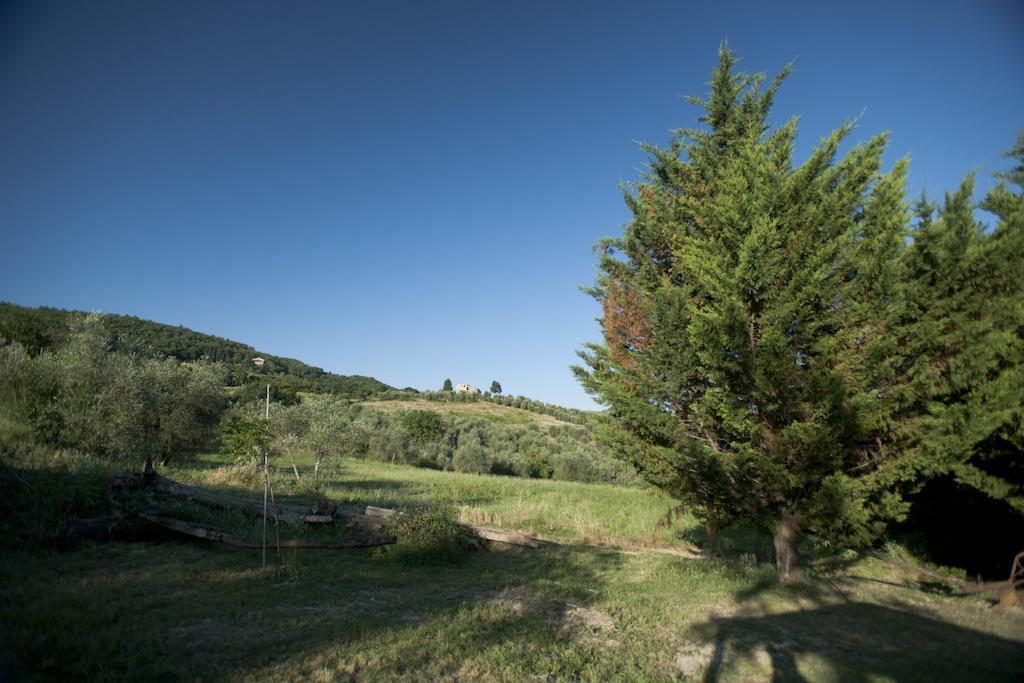 Agriturismo La Pieve Villa Pelago Exterior photo